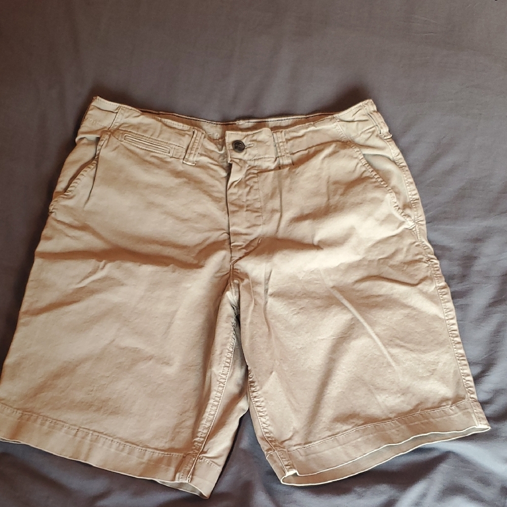 American Eagle Outfitters Tan Flat Front Shorts Unisex Sz 31 Waist